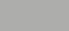 Silver Gray